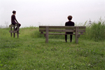 fence and bench